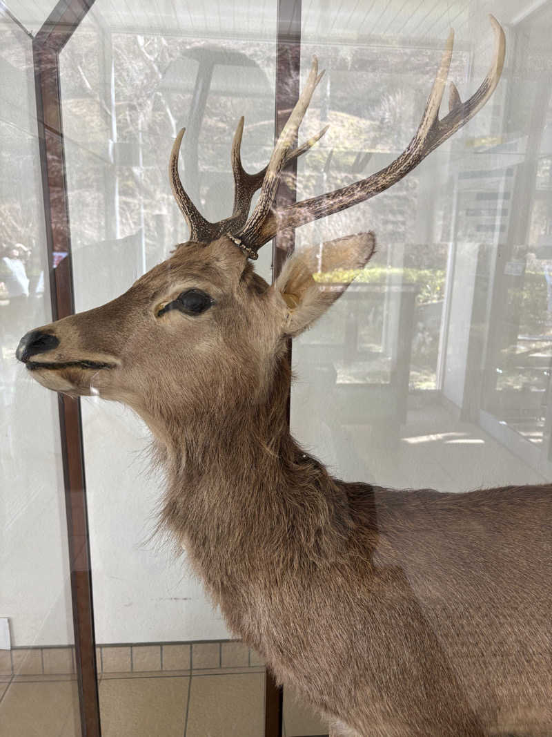 ささうな重🐴さんの秋山温泉のサ活写真