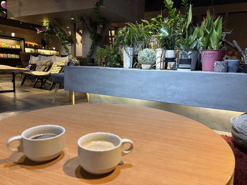ささうな重🐴さんのおふろcafé ハレニワの湯のサ活写真