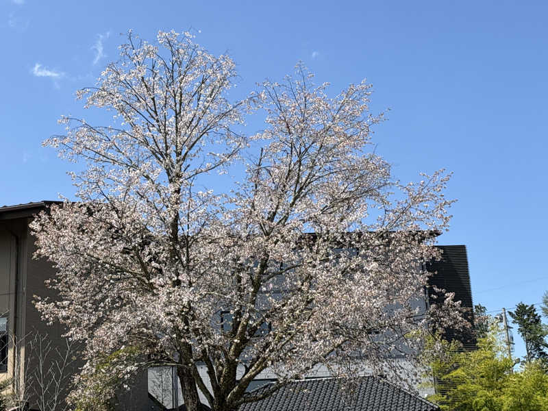 ささうな重🐴さんの河口湖 ホテル 桜庵のサ活写真