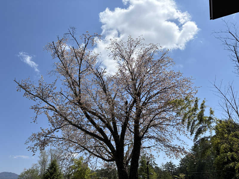 ささうな重🐴さんの河口湖 ホテル 桜庵のサ活写真