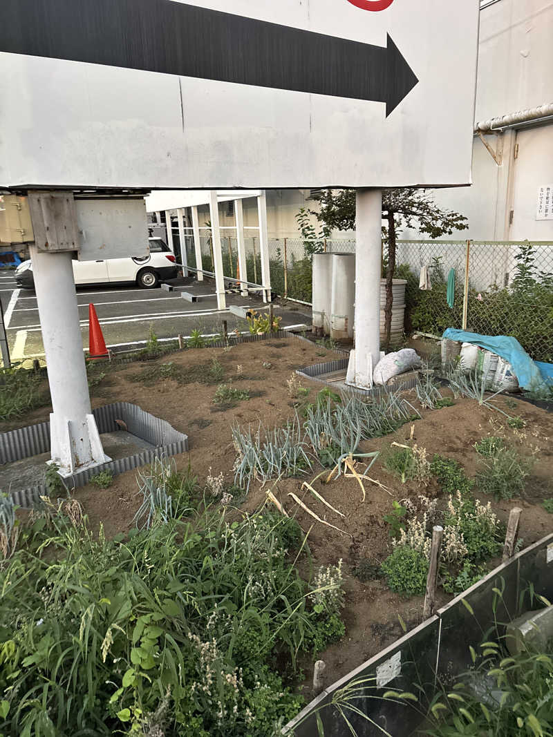 ささうな重🐶さんの湯乃泉 東名厚木健康センターのサ活写真