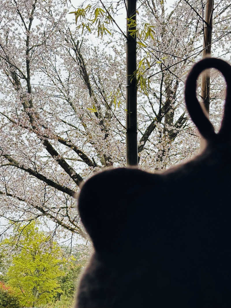 ささうな重🐶さんの河口湖 ホテル 桜庵のサ活写真