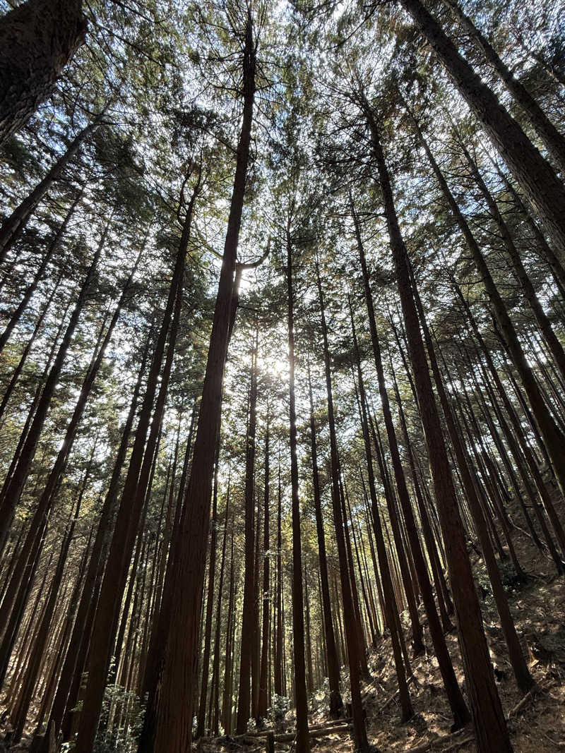 合法的中毒者さんのGROUND ROCK CASTLE saunaのサ活写真