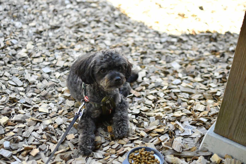 tarmtechさんのThe Saunaのサ活写真