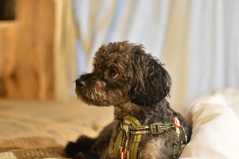 tarmtechさんのThe Saunaのサ活写真