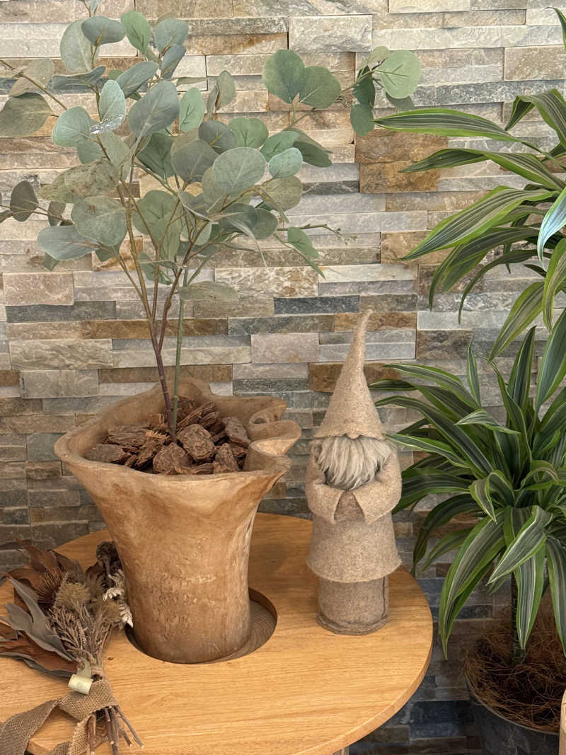 めそさんの入船温泉のサ活写真