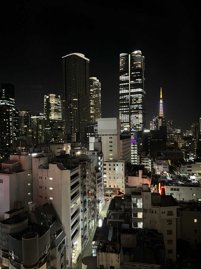 satooさんのカンデオホテルズ東京六本木のサ活写真