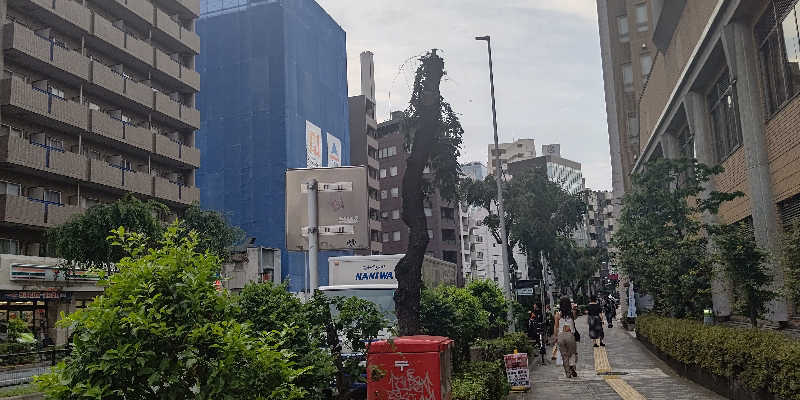 イスラボニータさんの改良湯のサ活写真