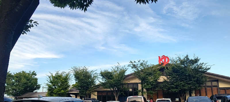 イスラボニータさんのスーパー銭湯 湯処葛西のサ活写真