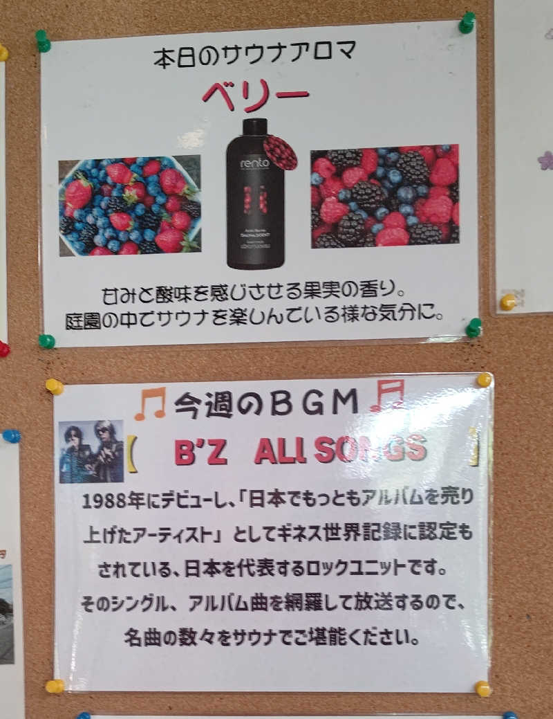 イスラボニータさんの亀遊舘のサ活写真