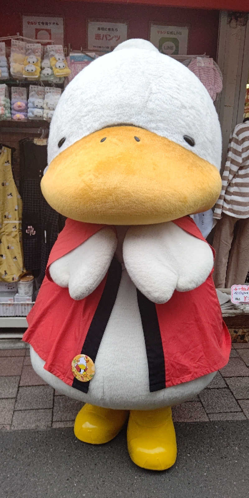 イスラボニータさんのCOCOFURO かが浴場のサ活写真