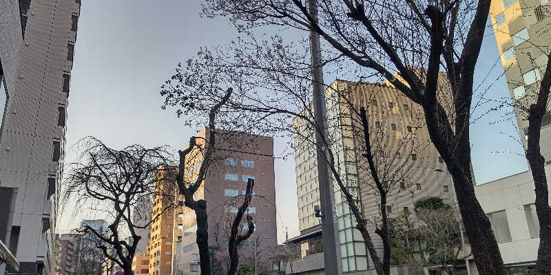 イスラボニータさんの改良湯のサ活写真