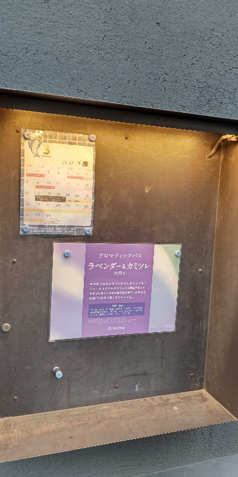 イスラボニータさんの改良湯のサ活写真