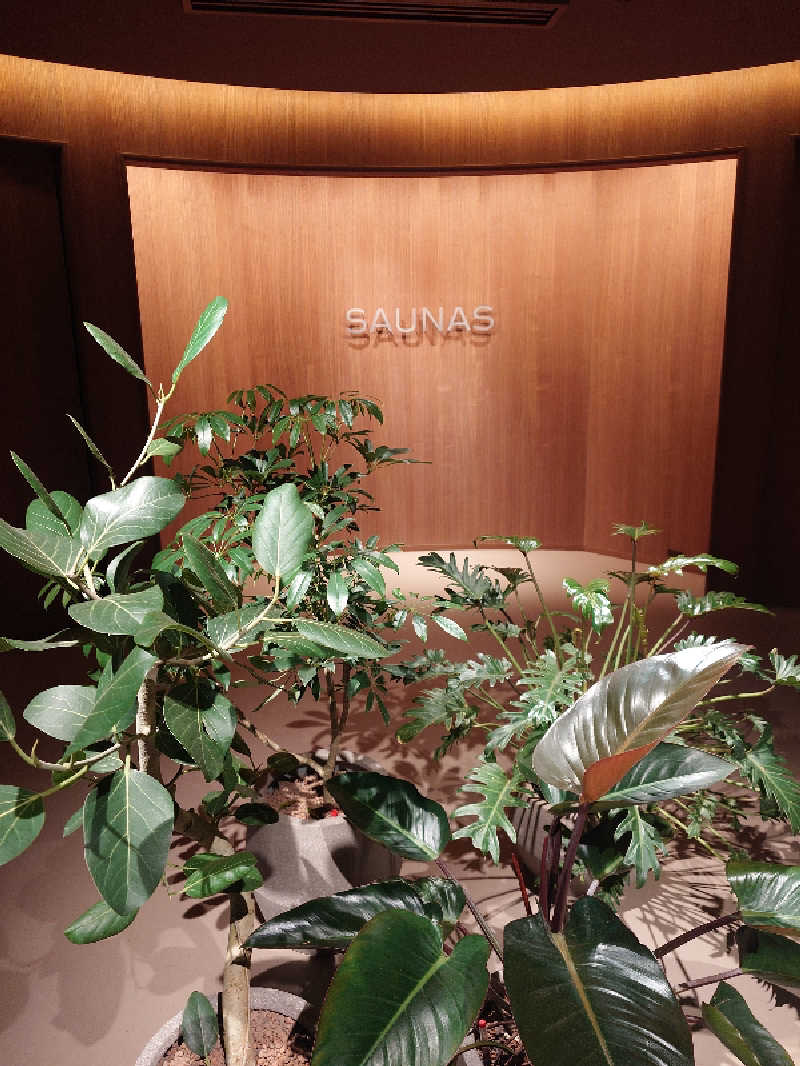 🪿さんの高輪SAUNASのサ活写真