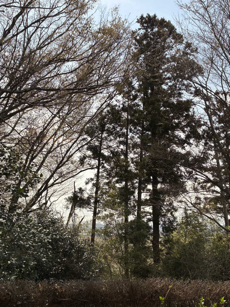 週末さんのひたちなか温泉 喜楽里別邸のサ活写真