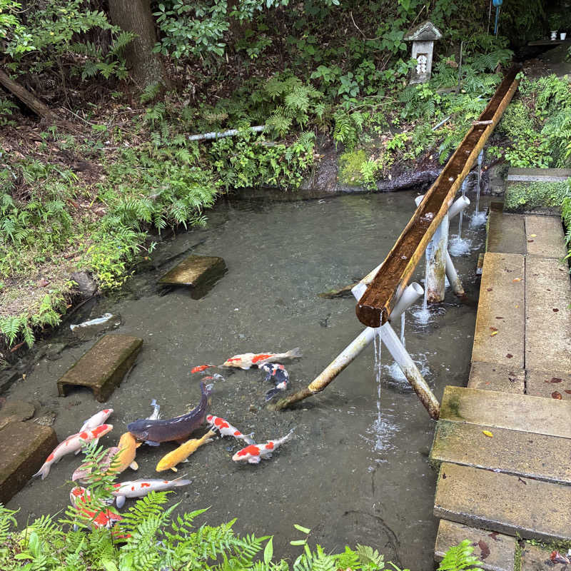 週末さんのSATOYAMA TERRACEのサ活写真