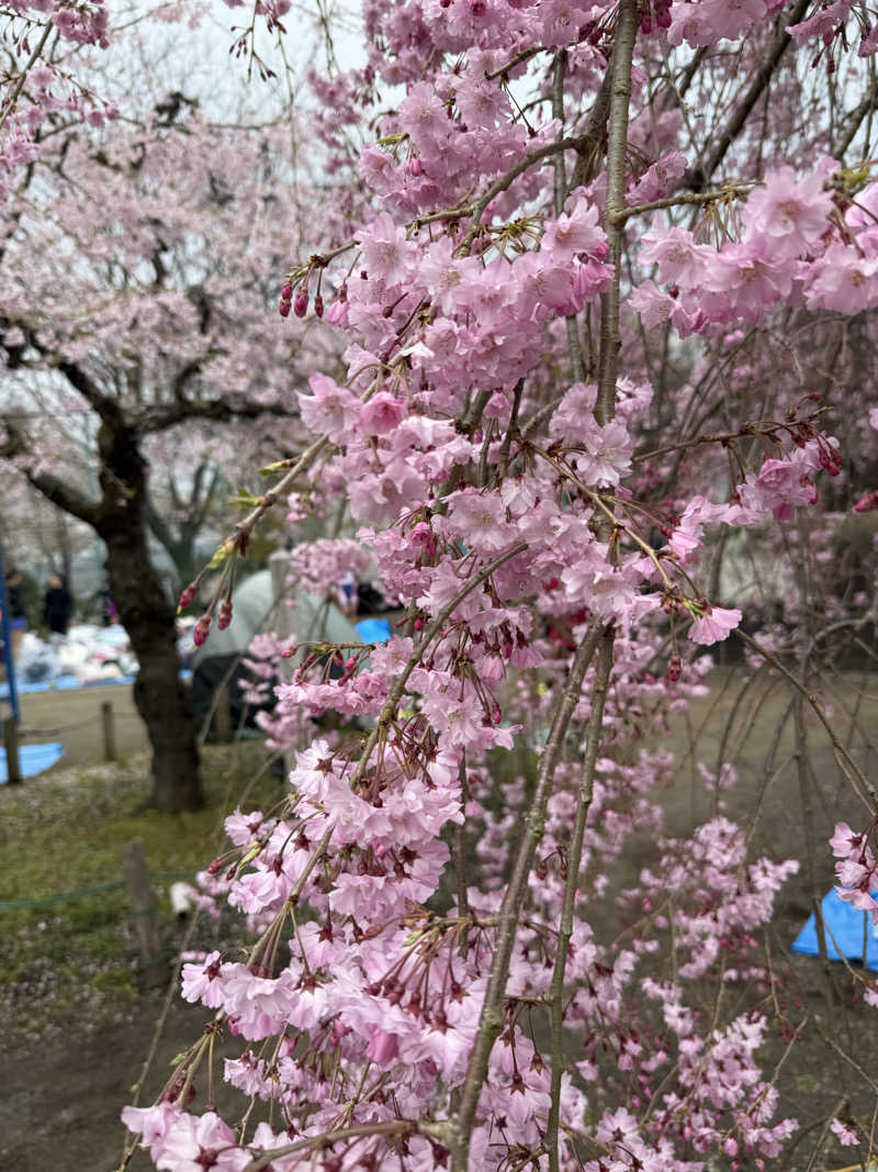 おろぴさんのすえひろ湯のサ活写真