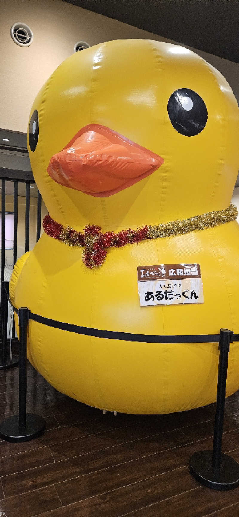 わたゆきさんの神州温泉 あるごの湯のサ活写真