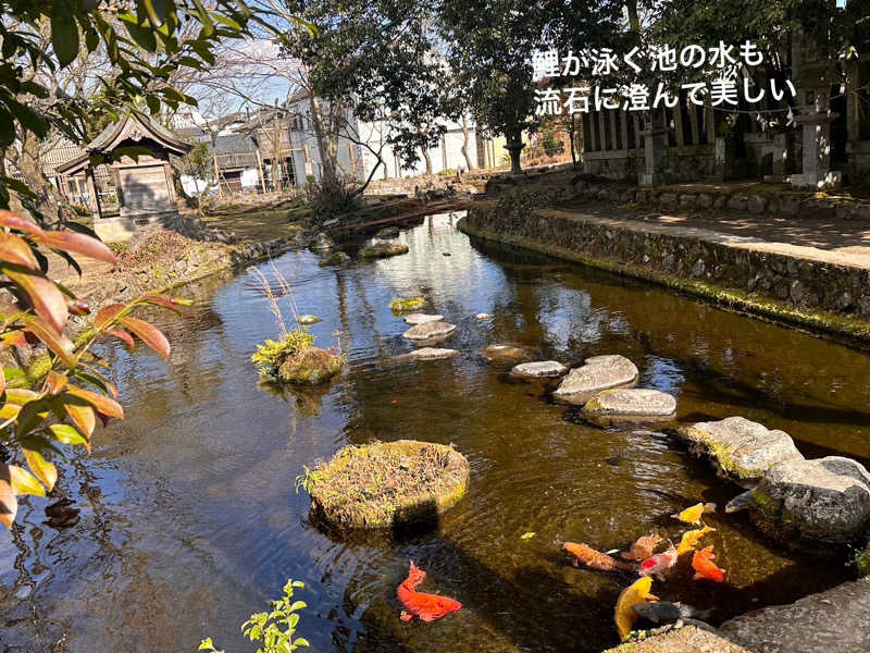 ワニ子さんの阿蘇坊中温泉夢の湯のサ活写真