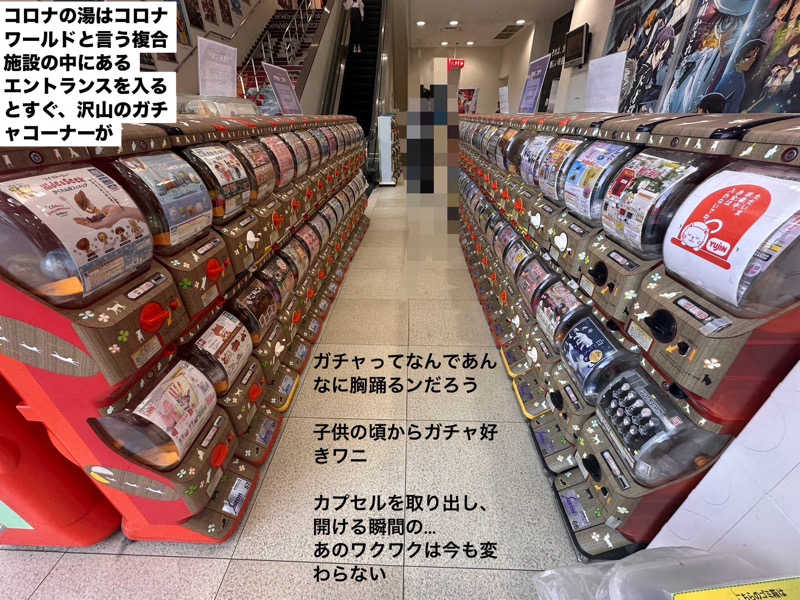 ワニ子さんの天然温泉コロナの湯 小倉店のサ活写真