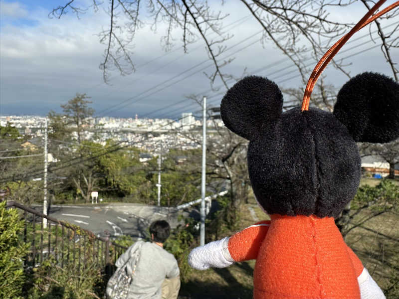 わいるどさんの観音山サウナ蒸寺のサ活写真