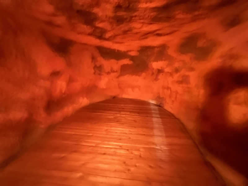 ジーニー🧞さんのスプソク漢方ランド(森の中の漢方ランド)のサ活写真