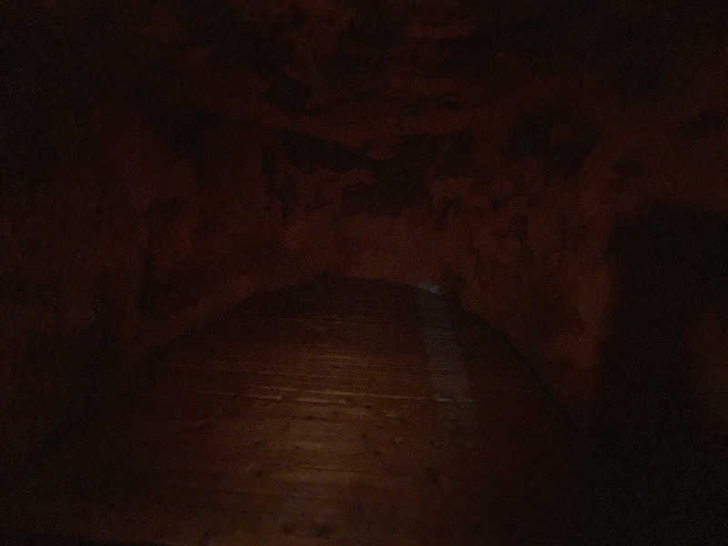 ジーニー🧞さんのスプソク漢方ランド(森の中の漢方ランド)のサ活写真