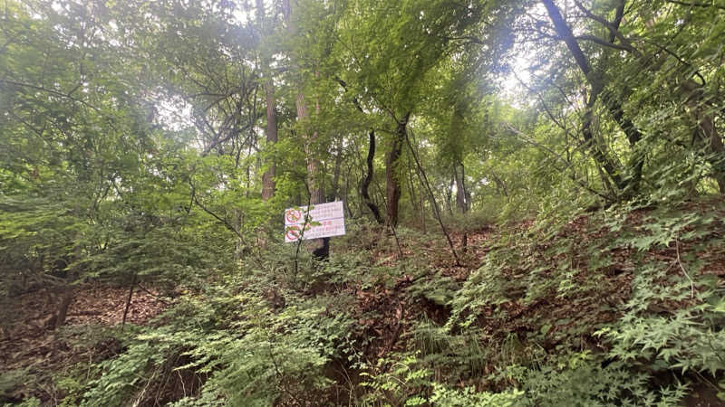 ジーニー🧞さんのスプソク漢方ランド(森の中の漢方ランド)のサ活写真