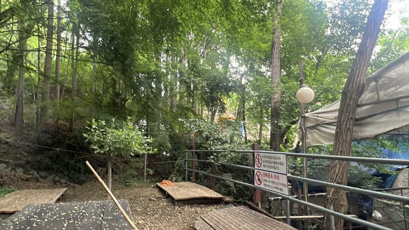 ジーニー🧞さんのスプソク漢方ランド(森の中の漢方ランド)のサ活写真