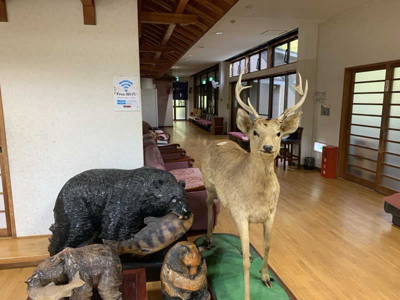 UMPさんの恵荘平山温泉のサ活写真