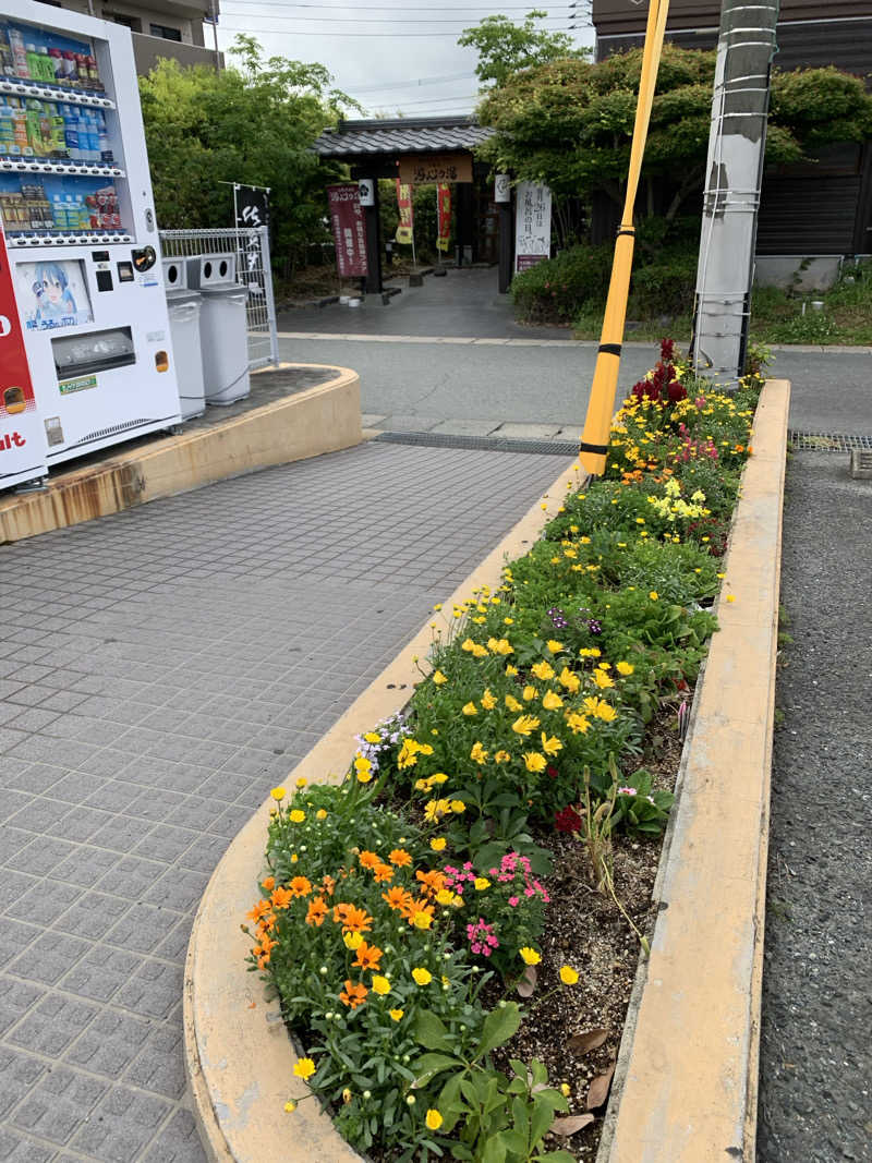 UMPさんの源泉掛け流し温泉久留米 游心の湯のサ活写真