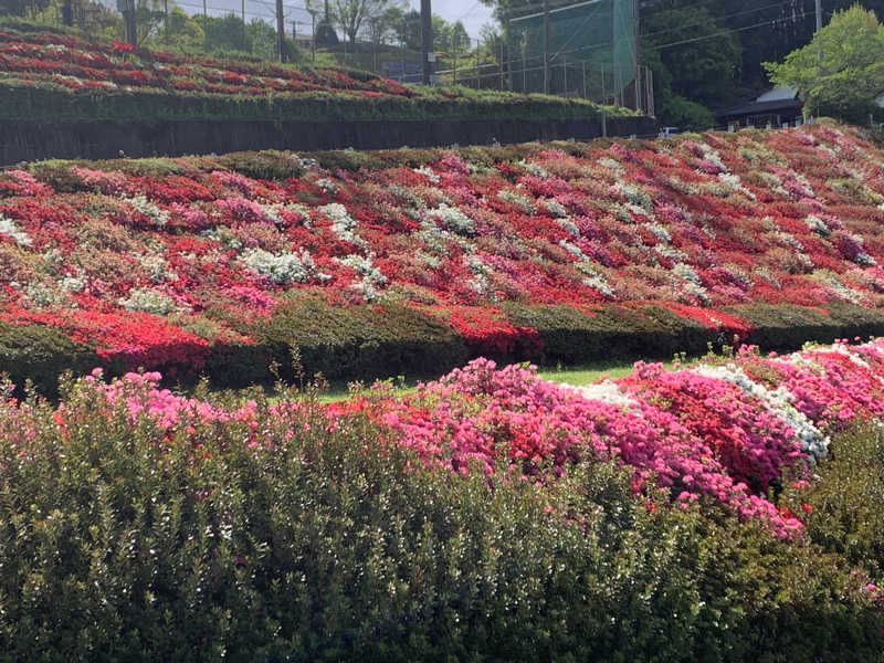 UMPさんの八女市星野総合保健福祉センター そよかぜのサ活写真
