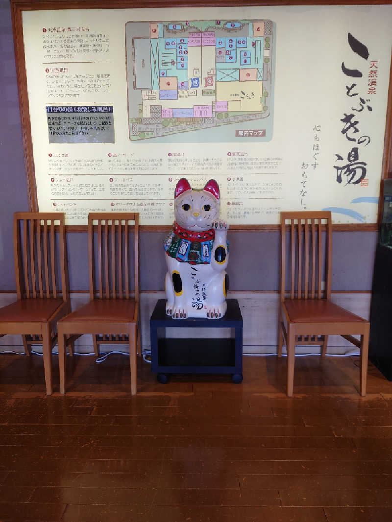 上條直哉さんの天然温泉 ことぶきの湯のサ活写真