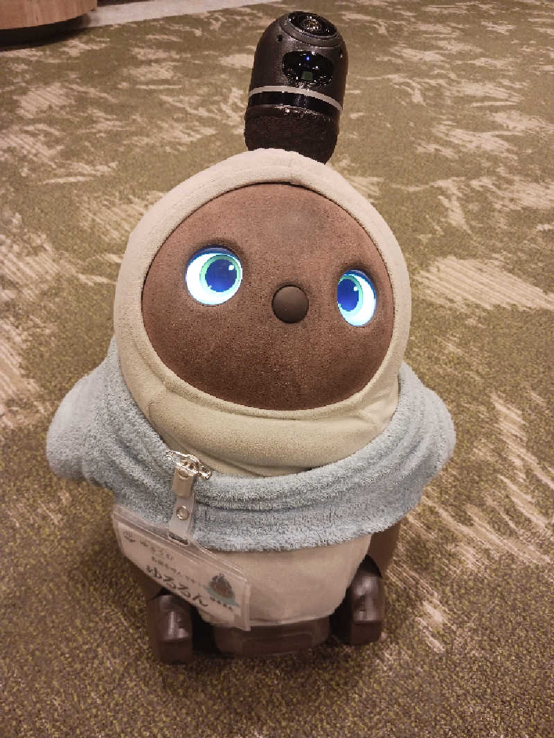 自由人さんのSPA&ごはん ゆるうむ yuluumuのサ活写真
