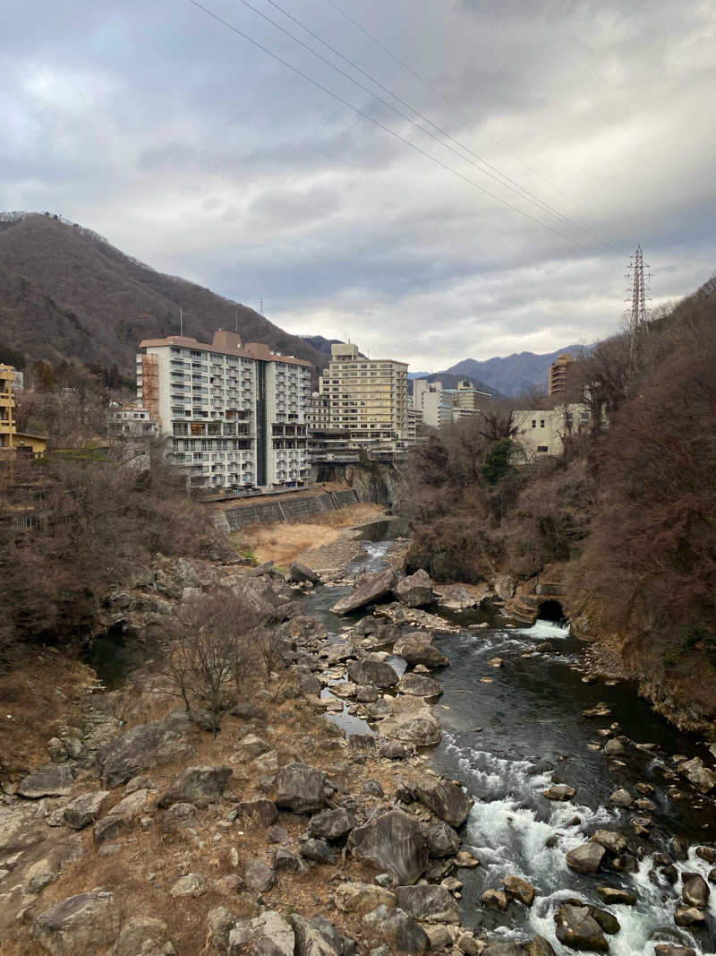 ♨️黙橋♨️さんの鬼怒川温泉 ものぐさの宿 花千郷のサ活写真