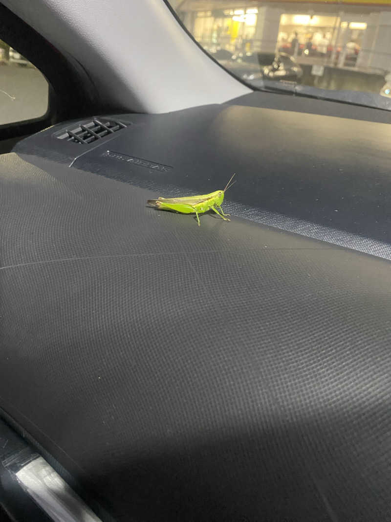 ♨️黙♨️さんの極楽湯 柏店のサ活写真