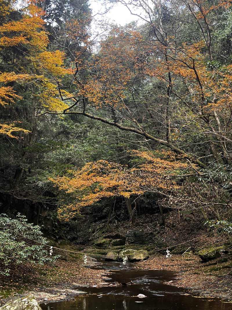 たあぼうさんの奈良健康ランドのサ活写真