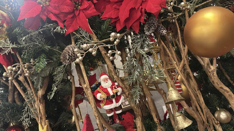 ぽむみさんの朝日湯源泉ゆいるのサ活写真