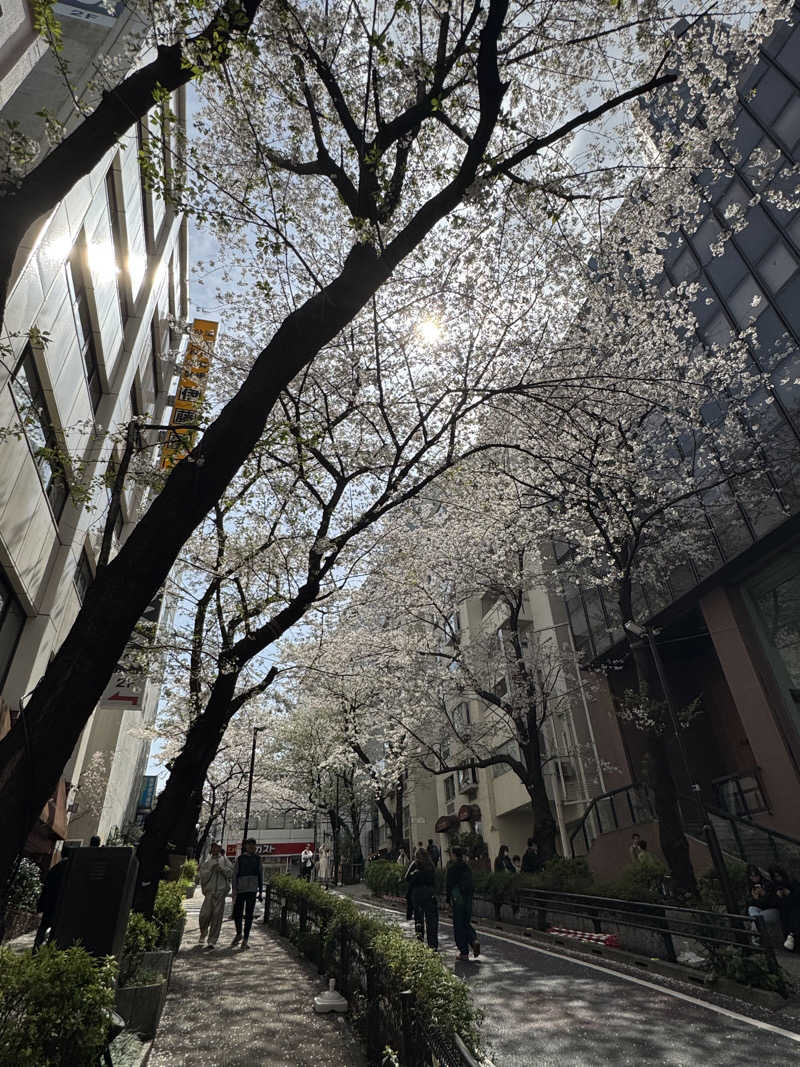 たこ焼き大好きさんの渋谷SAUNASのサ活写真