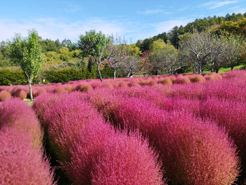 ひなこさんのユンニの湯のサ活写真