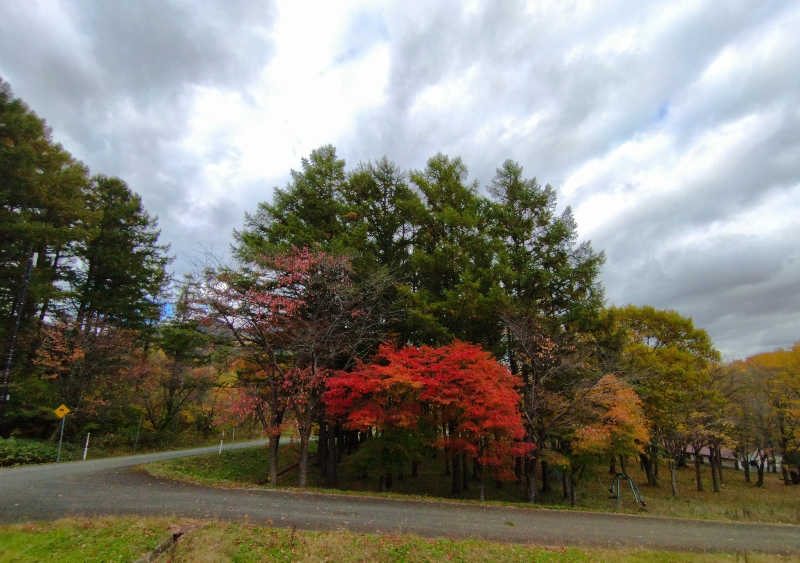 ひなこさんのハイランド ふらののサ活写真