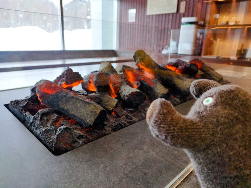 ひなこさんの幌加内せいわ温泉ルオントのサ活写真