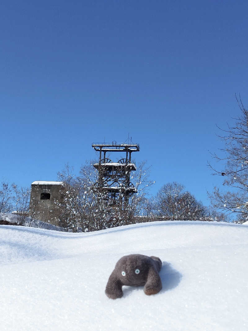 ひなこさんの雲海の里かもい岳のサ活写真