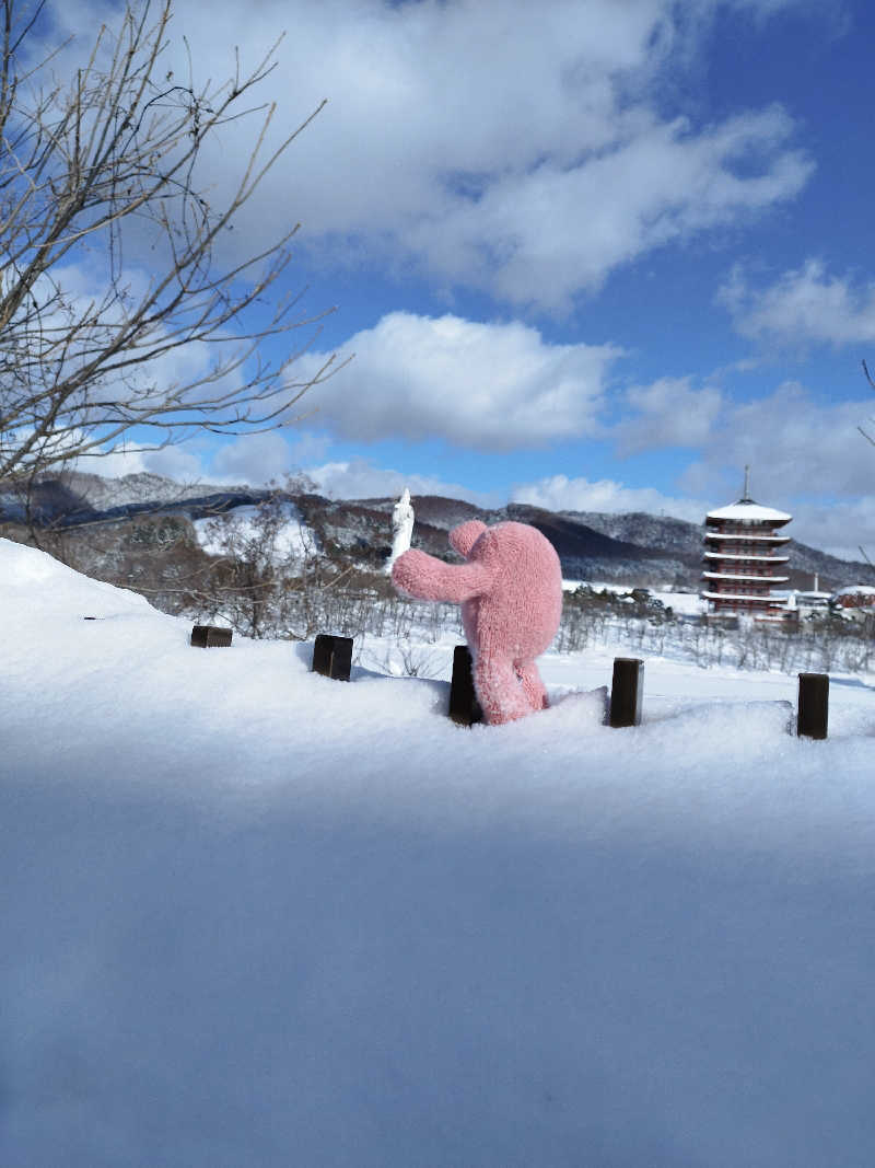 ひなこさんの芦別温泉 おふろcafé 星遊館 (芦別温泉スターライトホテル)のサ活写真