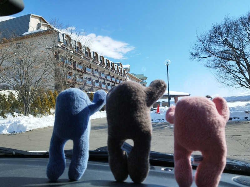 ひなこさんの十勝川温泉 第一ホテルのサ活写真