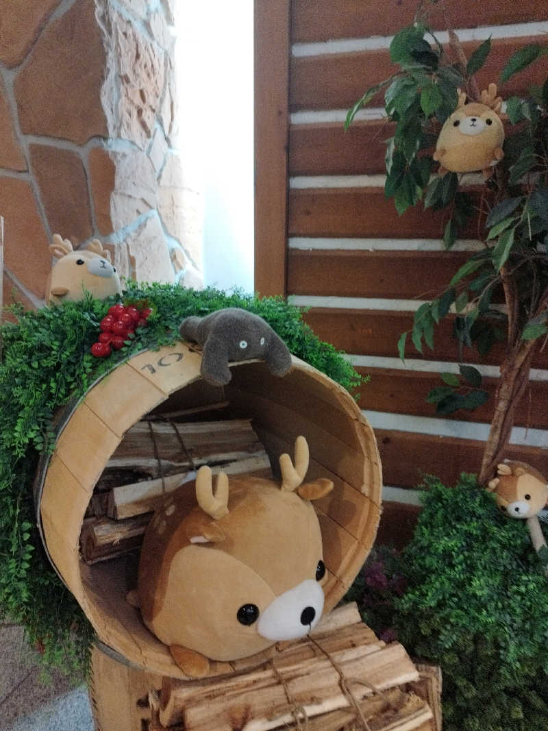 ひなこさんの朝陽リゾートホテルのサ活写真