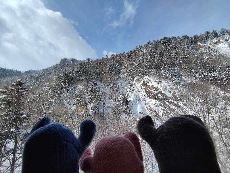 ひなこさんの朝陽リゾートホテルのサ活写真