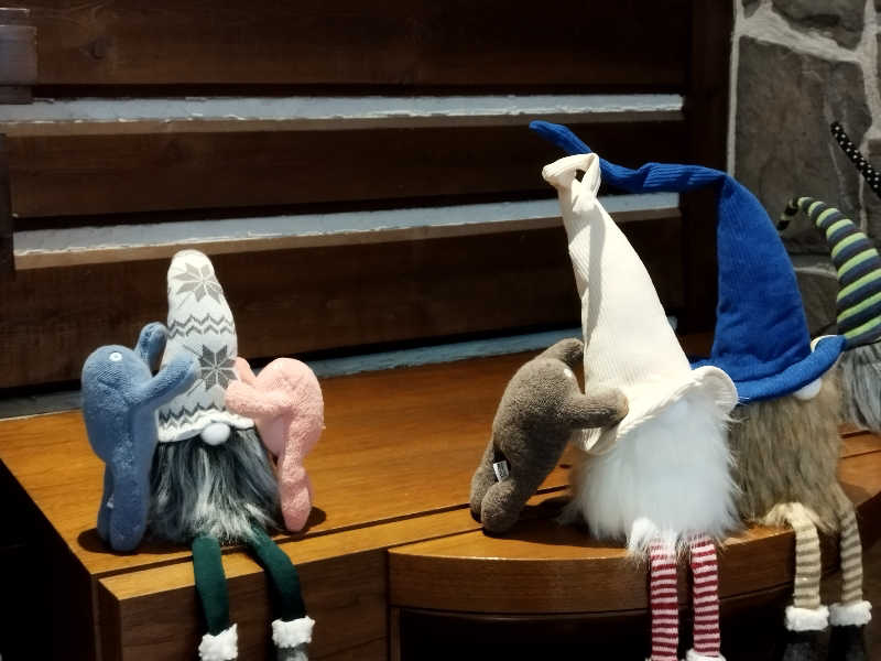 ひなこさんの朝陽リゾートホテルのサ活写真