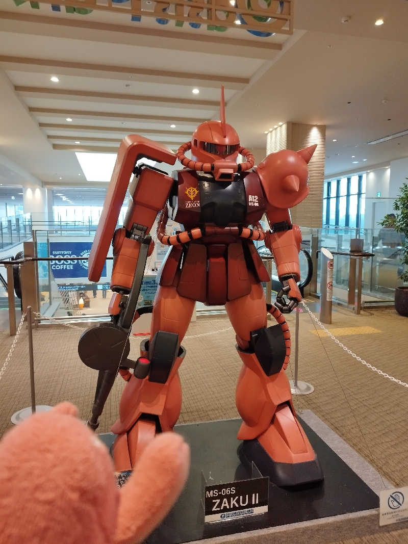 ひなこさんの新千歳空港温泉のサ活写真