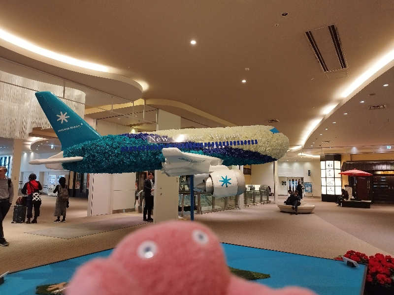 ひなこさんの新千歳空港温泉のサ活写真